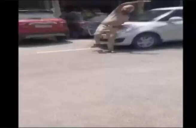 Patiala Police Checking : चेकिंग के दौरान युवक ने पुलिसकर्मी पर चढ़ाई गाड़ी, कुछ दूर तक घसीटता रहा चालक