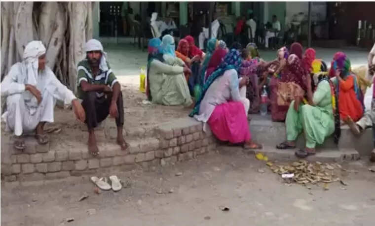 Jind News : भाई के साथ मिलकर पत्नी की हत्या, ऐसे हुआ खुलासा