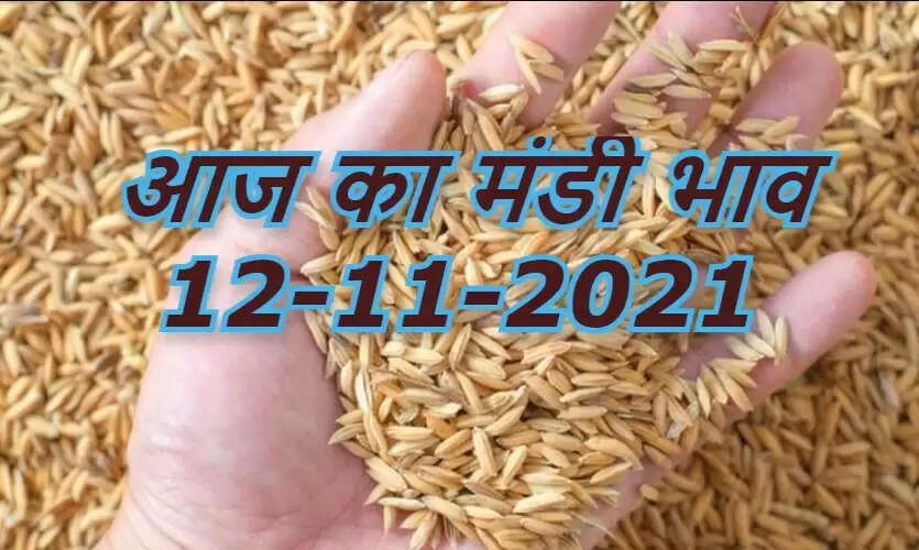 aaj ka mandi bhav 12 november 2021