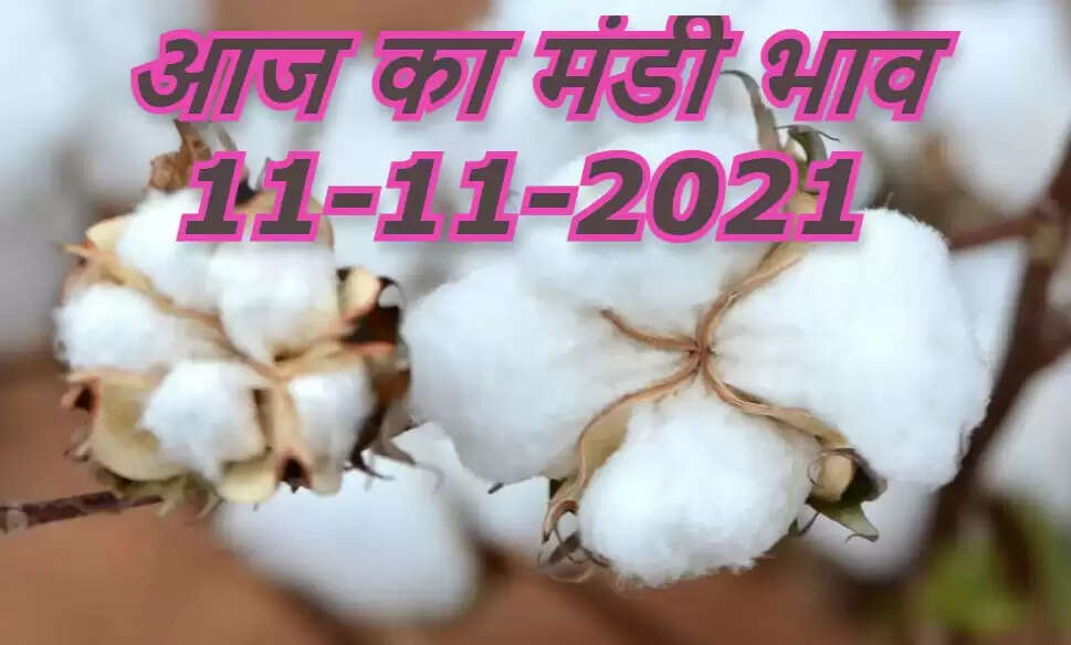 aaj ka mandi bhav 11 november 2021