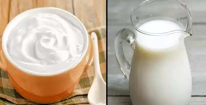 dudh