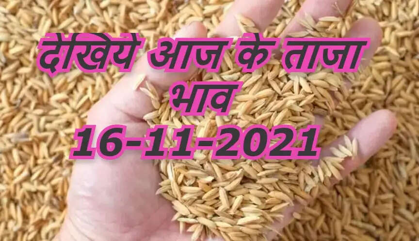 Aaj Ka Mandi Bhav 16 November 2021