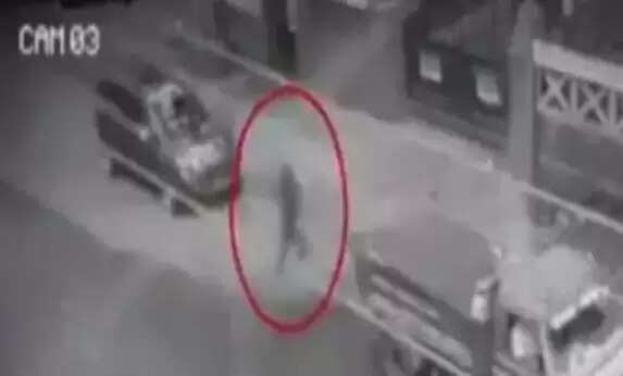 bhoot