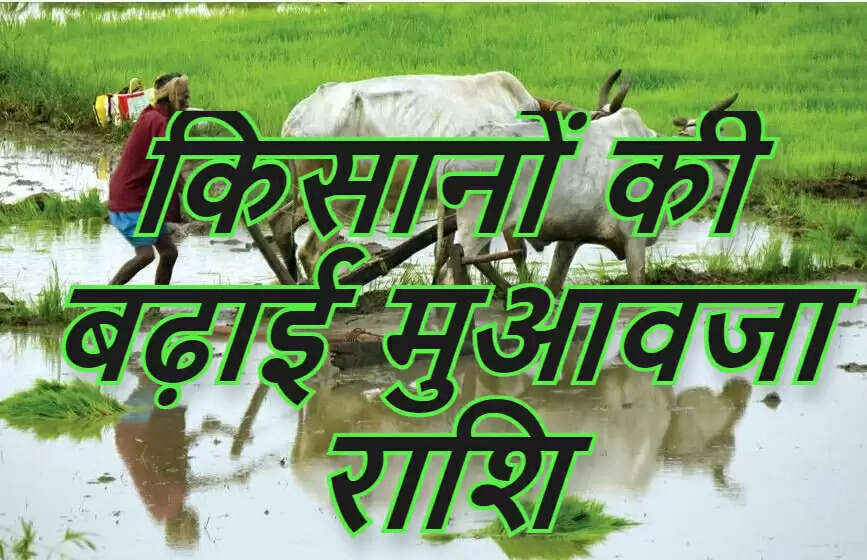 farmers muawja rashi