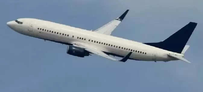 flight