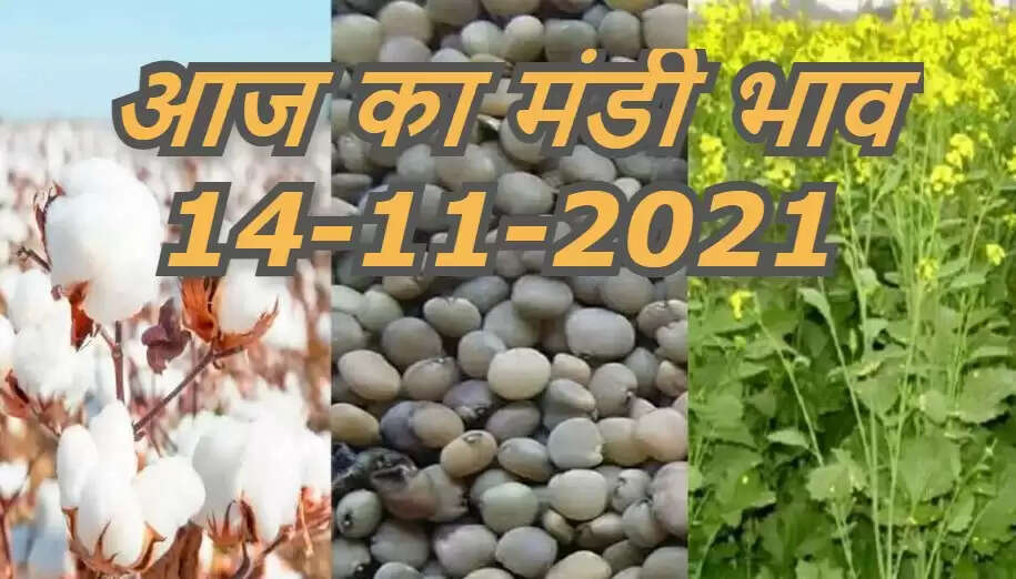 aaj ka mandi bhav 14 november 2021