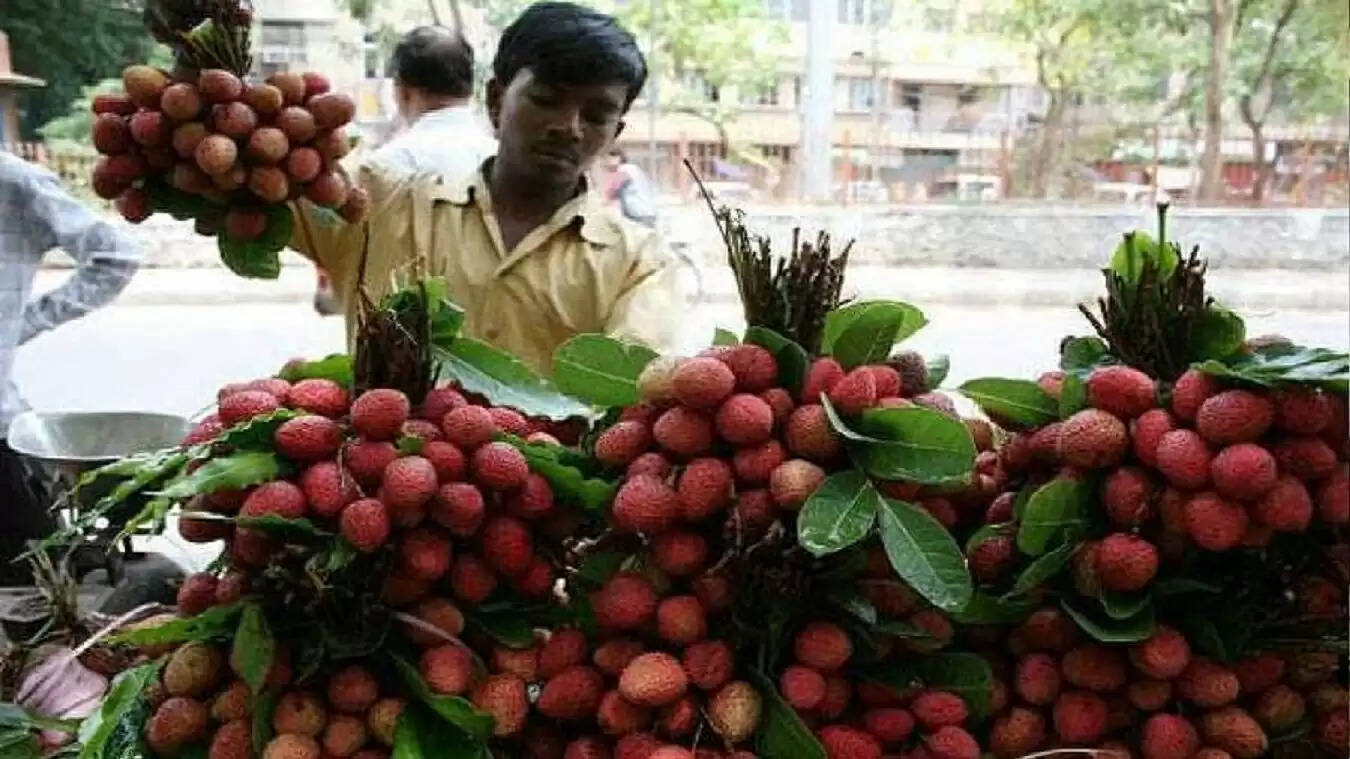good news for lychee farmers