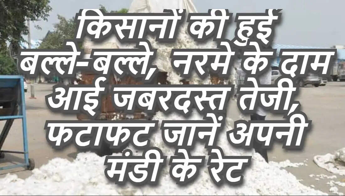 Aaj Ka Mandi Bhav 4 January 2022