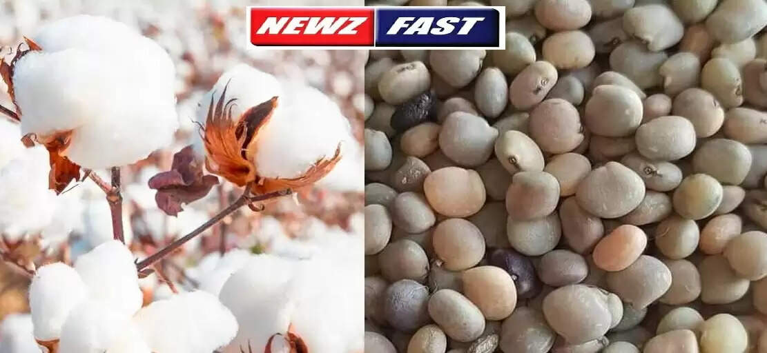 aaj ka mandi bhav 9 november 2021