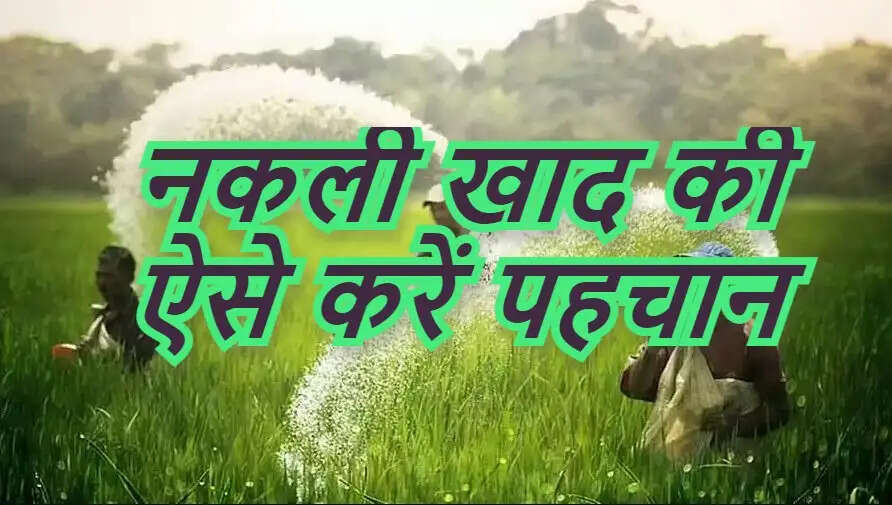 fake fertilizer in fields