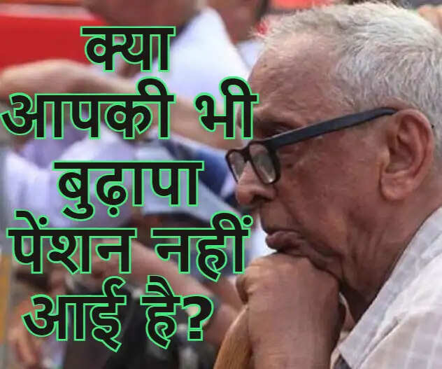 old age pension haryana status