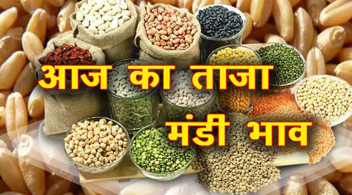 Haryana Rajasthan Mandi Bhav 24 November 2021
