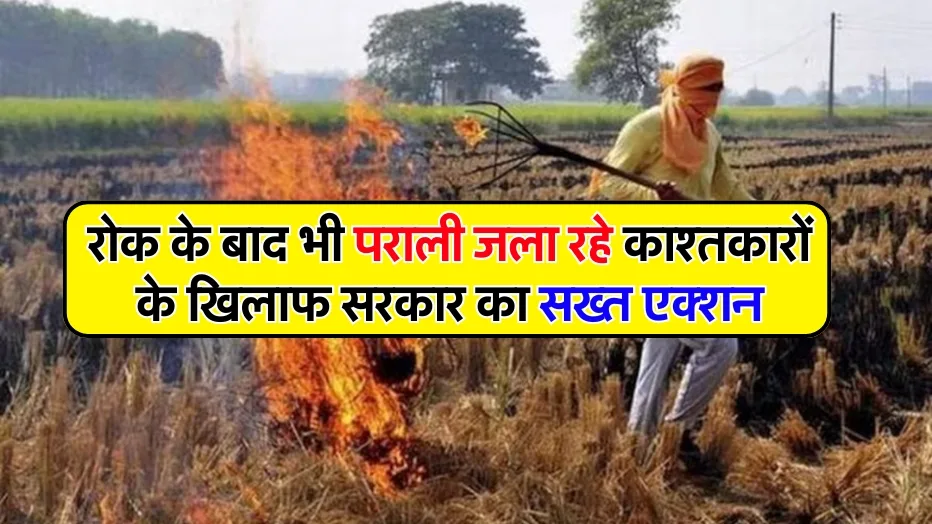 stubble burning in Parwal